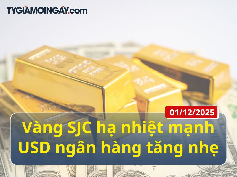 01/12: Vàng SJC hạ nhiệt mạnh, USD ngân hàng tăng nhẹ