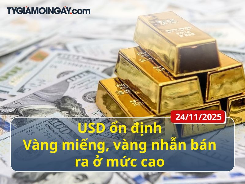 24/11: USD ổn định - Vàng miếng, vàng nhẫn bán ra ở mức cao