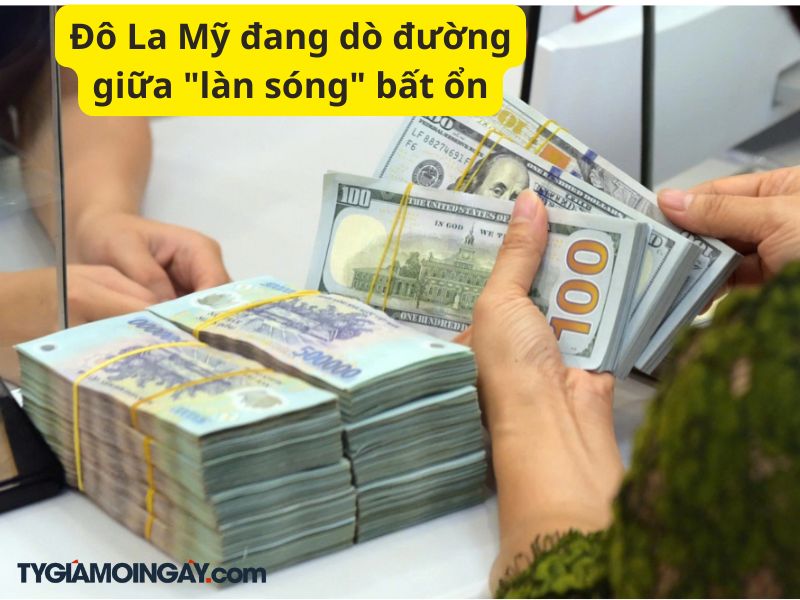 Biến động nhẹ, Đô La Mỹ đang dò đường giữa