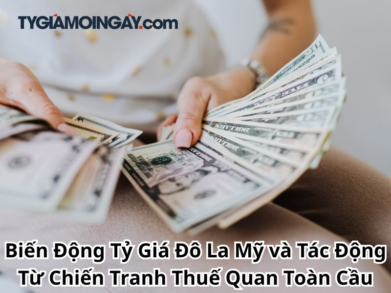 Biến Động Tỷ Giá Đô La Mỹ và Tác Động Từ Chiến Tranh Thuế Quan Toàn Cầu