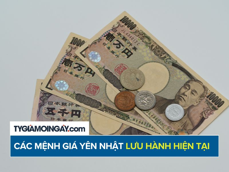 Các mệnh giá Yên Nhật đang lưu hành hiện tại 