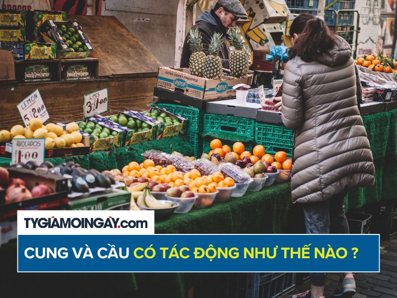  Cung cầu là gì? Cung cầu tác động đến nhau như thế nào?
