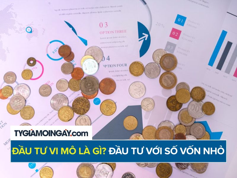 Đầu tư vi mô là gì? Cách bắt đầu đầu tư với số vốn nhỏ