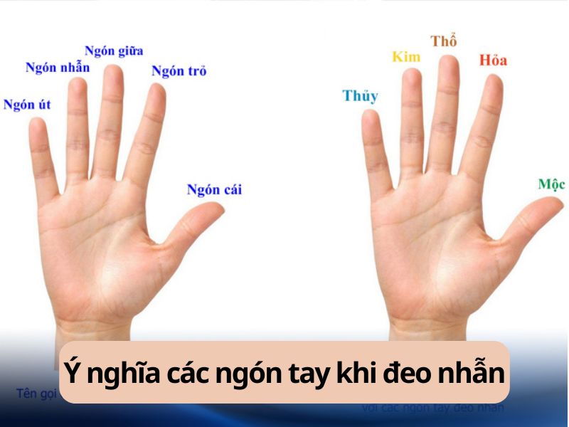 Đeo nhẫn ở từng ngón tay mang ý nghĩa gì?