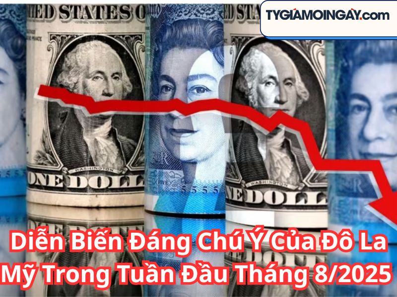 Diễn Biến Đáng Chú Ý Của Đô La Mỹ Trong Tuần Đầu Tháng 8/2025 Và Tác Động Tới Tỷ Giá