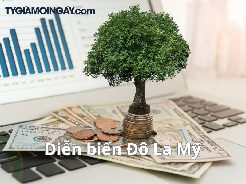 Diễn biến Đô La Mỹ quốc tế và tác động đến thị trường Việt Nam