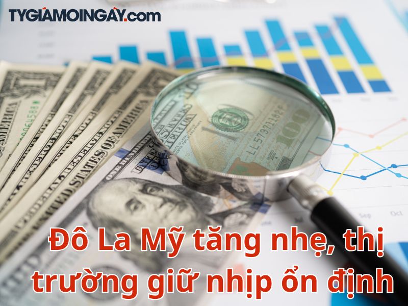 Diễn biến Đô La Mỹ tăng nhẹ, thị trường giữ nhịp ổn định