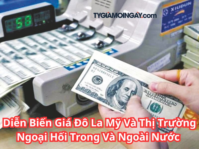 Diễn Biến Giá Đô La Mỹ Và Thị Trường Ngoại Hối Trong Và Ngoài Nước