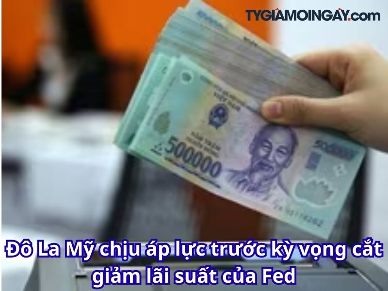 Đô La Mỹ chịu áp lực trước kỳ vọng cắt giảm lãi suất của Fed
