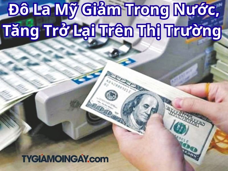 Đô La Mỹ Giảm Trong Nước, Tăng Trở Lại Trên Thị Trường Quốc Tế