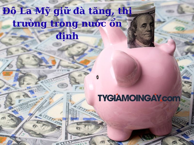 Đô La Mỹ giữ đà tăng, thị trường trong nước ổn định