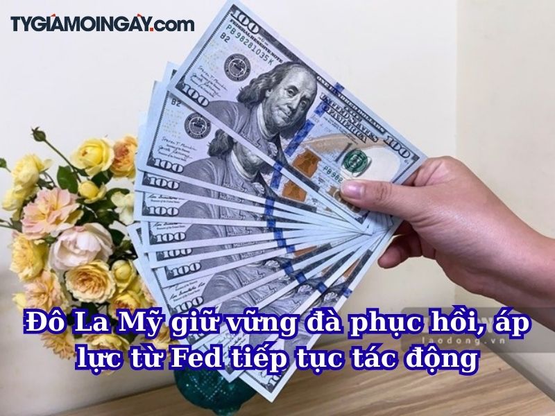 Đô La Mỹ giữ vững đà phục hồi, áp lực từ Fed tiếp tục tác động thị trường