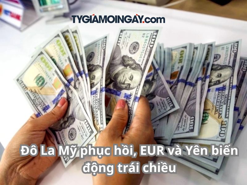 Đô La Mỹ phục hồi, EUR và Yên biến động trái chiều