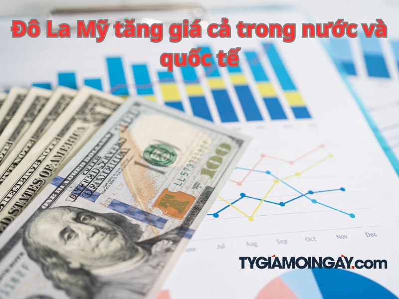 Đô La Mỹ tăng giá cả trong nước và quốc tế trước kỳ vọng Fed hạ lãi suất