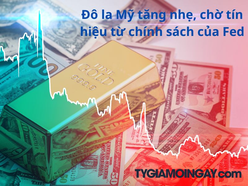 Đô la Mỹ tăng nhẹ, chờ tín hiệu từ chính sách của Fed
