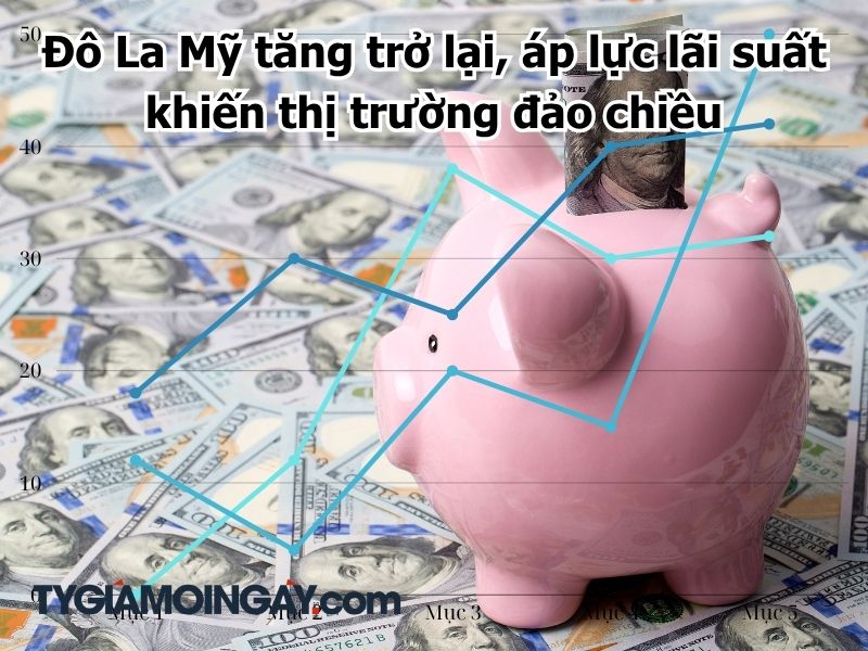 Đô La Mỹ tăng trở lại, áp lực lãi suất khiến thị trường đảo chiều
