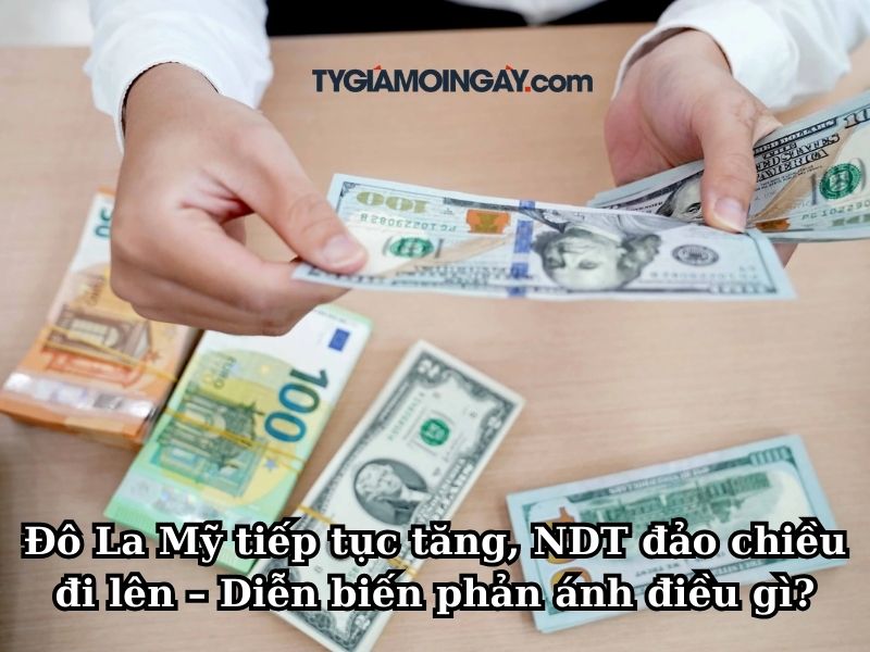 Đô La Mỹ tiếp tục tăng, NDT đảo chiều đi lên – Diễn biến phản ánh điều gì?