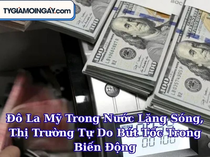 Đô La Mỹ Trong Nước Lặng Sóng, Thị Trường Tự Do Bứt Tốc Trong Biến Động Toàn Cầu