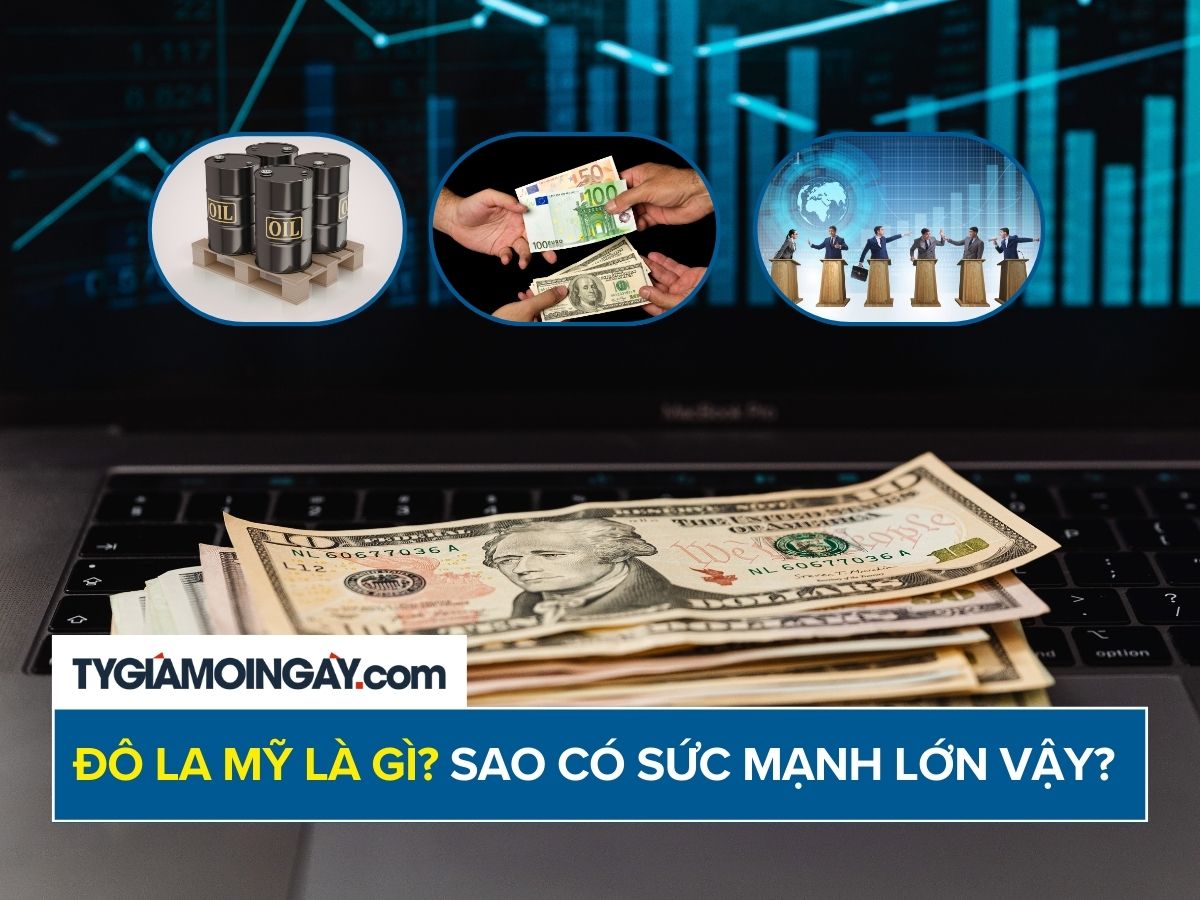 Đô la Mỹ (USD) là gì? Vì sao đô la Mỹ ảnh hưởng đến toàn cầu