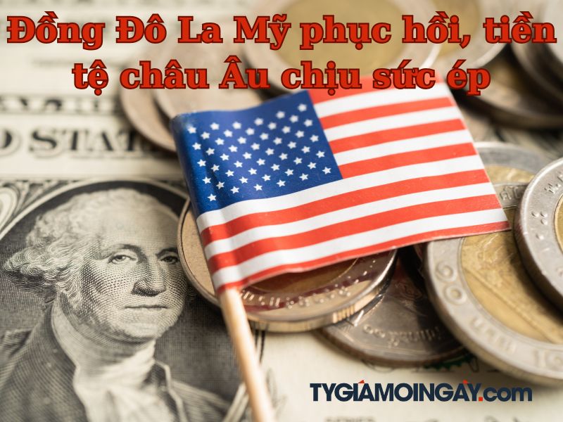 Đồng Đô La Mỹ phục hồi, tiền tệ châu Âu chịu sức ép
