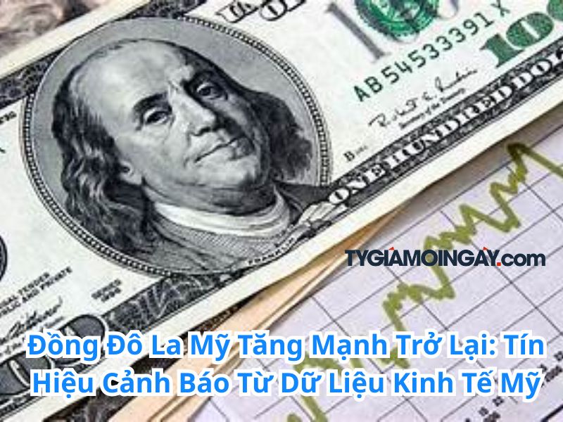 Đồng Đô La Mỹ Tăng Mạnh Trở Lại: Tín Hiệu Cảnh Báo Từ Dữ Liệu Kinh Tế Mỹ