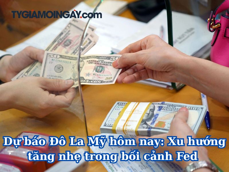 Dự báo Đô La Mỹ hôm nay: Xu hướng tăng nhẹ trong bối cảnh Fed chuẩn bị cắt giảm lãi suất