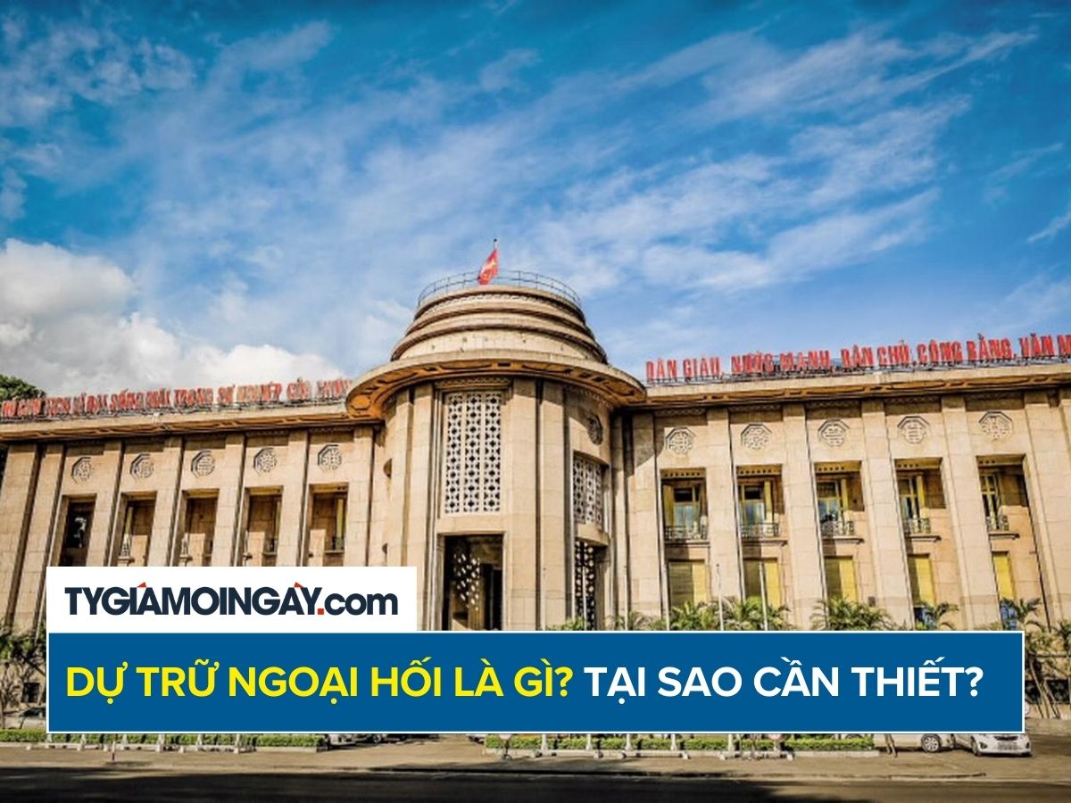 Dự trữ ngoại hối là gì? Tại sao phải cần dự trữ ngoại hối?