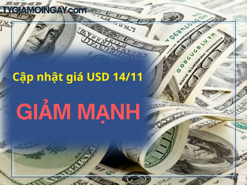 Giá USD Hôm Nay 14/11 – Thị trường và ngân hàng giảm mạnh