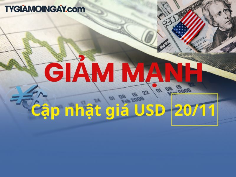 Giá USD hôm nay 20.11.2025: Đô tự do lao dốc mạnh