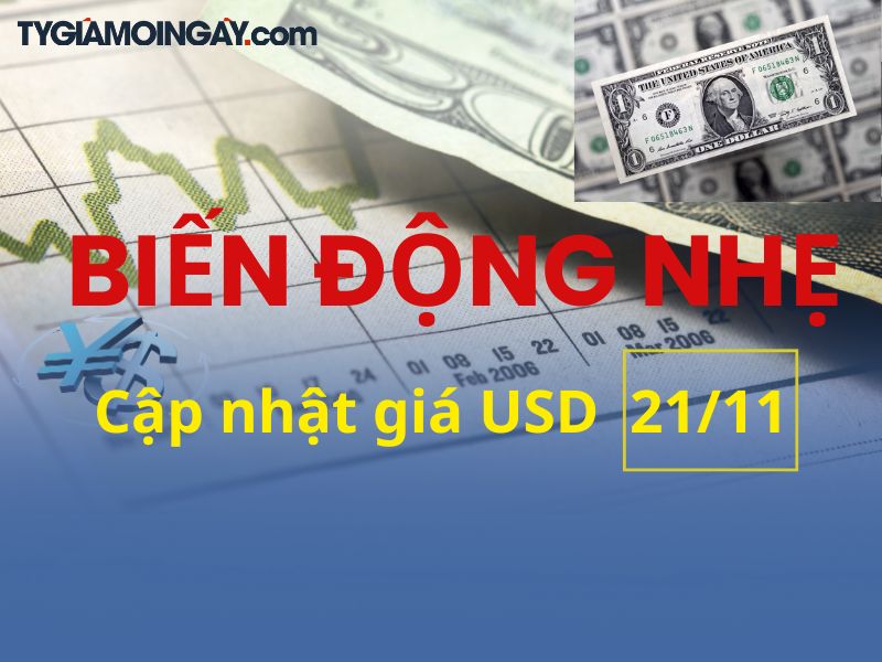 Giá USD Hôm Nay 21/11 – Ngân Hàng Tăng Nhẹ, “Chợ Đen” Phản Ứng Khác