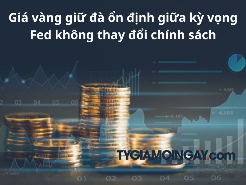 Giá vàng giữ đà ổn định giữa kỳ vọng Fed không thay đổi chính sách
