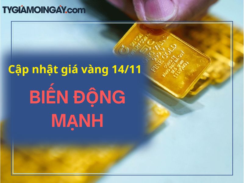 Giá Vàng Hôm Nay 14/11: Việt Nam Tăng, Thế Giới Giảm