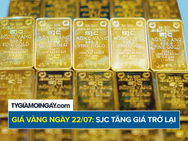 Giá vàng hôm nay 22/7/2026: SJC và vàng nhẫn đồng loạt tăng giá