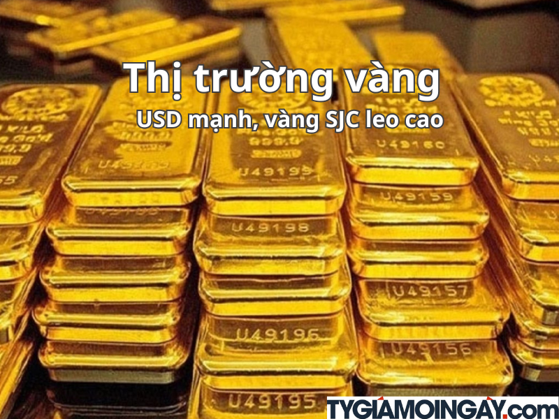 Giá vàng hôm nay 25/09/2025: SJC đảo chiều giảm, thế giới chịu áp lực USD mạnh