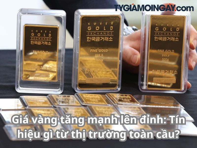 Giá vàng tăng mạnh lên đỉnh: Tín hiệu gì từ thị trường toàn cầu?