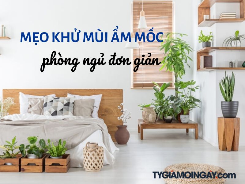 Mẹo khử mùi ẩm mốc phòng ngủ đơn giản, ai cũng làm được