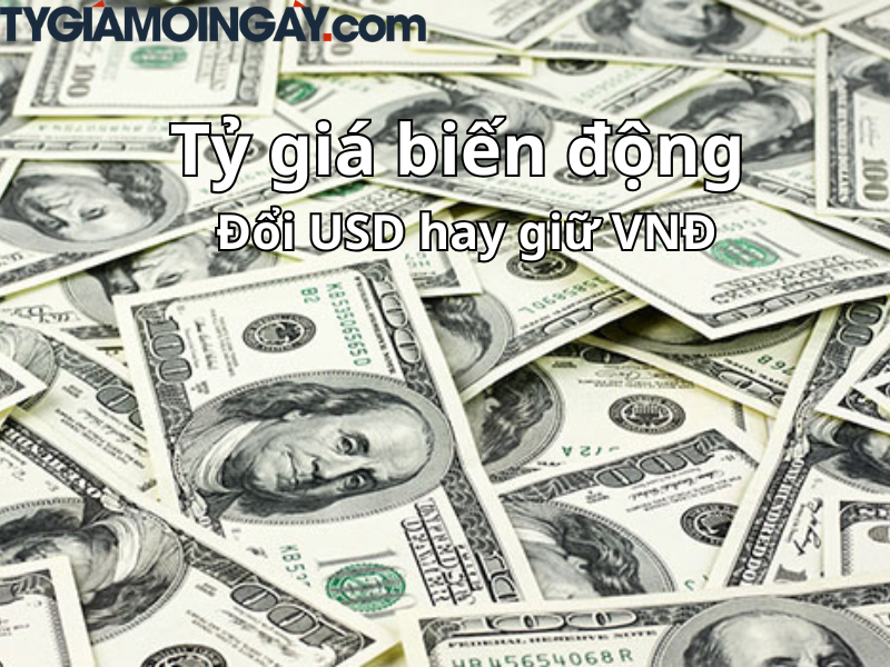 Nên đổi USD hay giữ VNĐ? Lời khuyên tài chính trong giai đoạn tỷ giá biến động