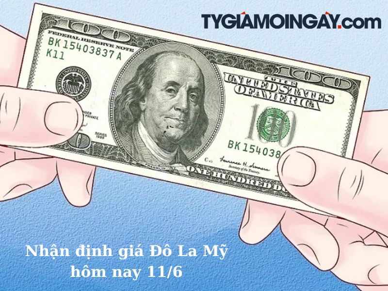 Nhận định tỷ giá USD hôm nay 11/6: Dao động nhẹ, chờ