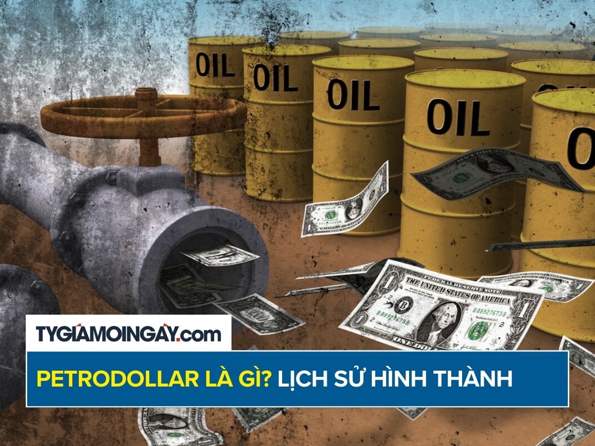 Petrodollar là gì? Lịch sử hình thành và quyền lực