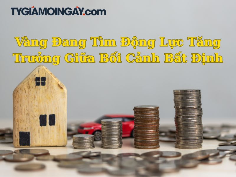 Phân Tích Thị Trường Vàng Thế Giới Tháng 8: Đang Tìm Động Lực Tăng Trưởng Giữa Bối Cảnh Bất Định