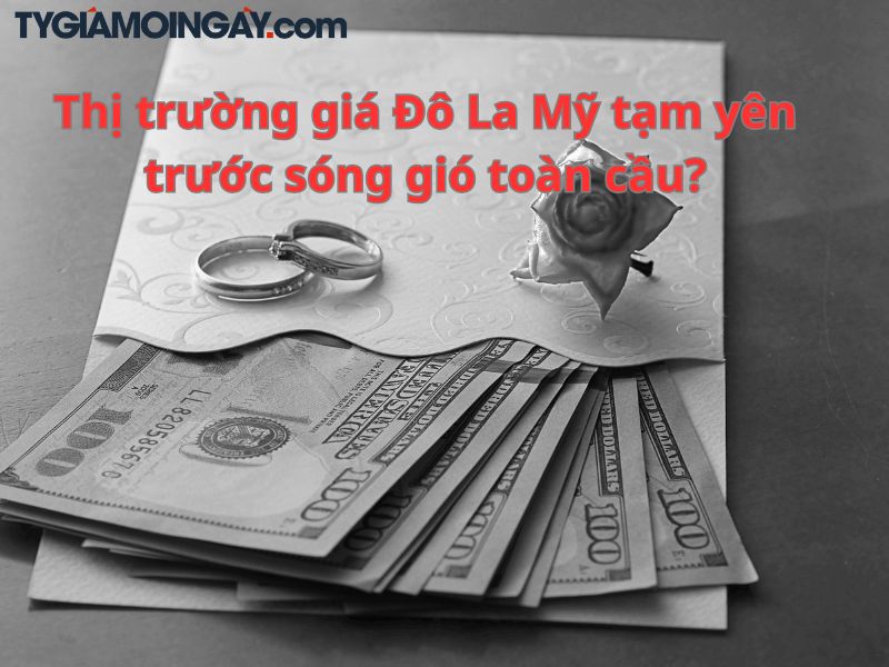 Thị trường giá Đô La Mỹ tạm yên trước sóng gió toàn cầu?