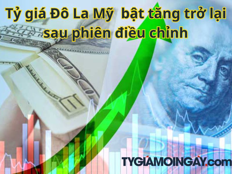 Tỷ giá Đô La Mỹ  bật tăng trở lại sau phiên điều chỉnh: VND Đồng Loạt Mất Giá So Với USD Và NDT