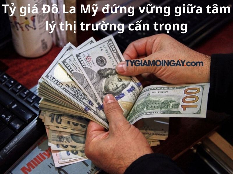 Tỷ giá Đô La Mỹ đứng vững giữa tâm lý thị trường cẩn trọng