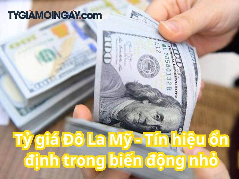 Tỷ giá Đô La Mỹ ngày 24/7: Tín hiệu ổn định trong biến động nhỏ