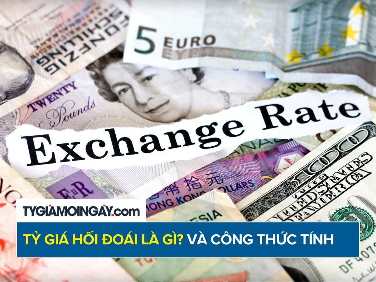 Tỷ giá hối đoái là gì? Cách tính và ảnh hưởng đến nền kinh tế