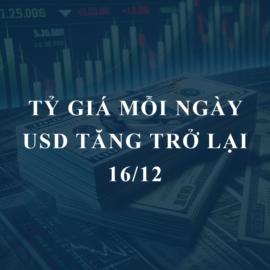 Tỷ giá hôm nay 16/12: USD tăng trở lại, chợ đen điều chỉnh nhẹ