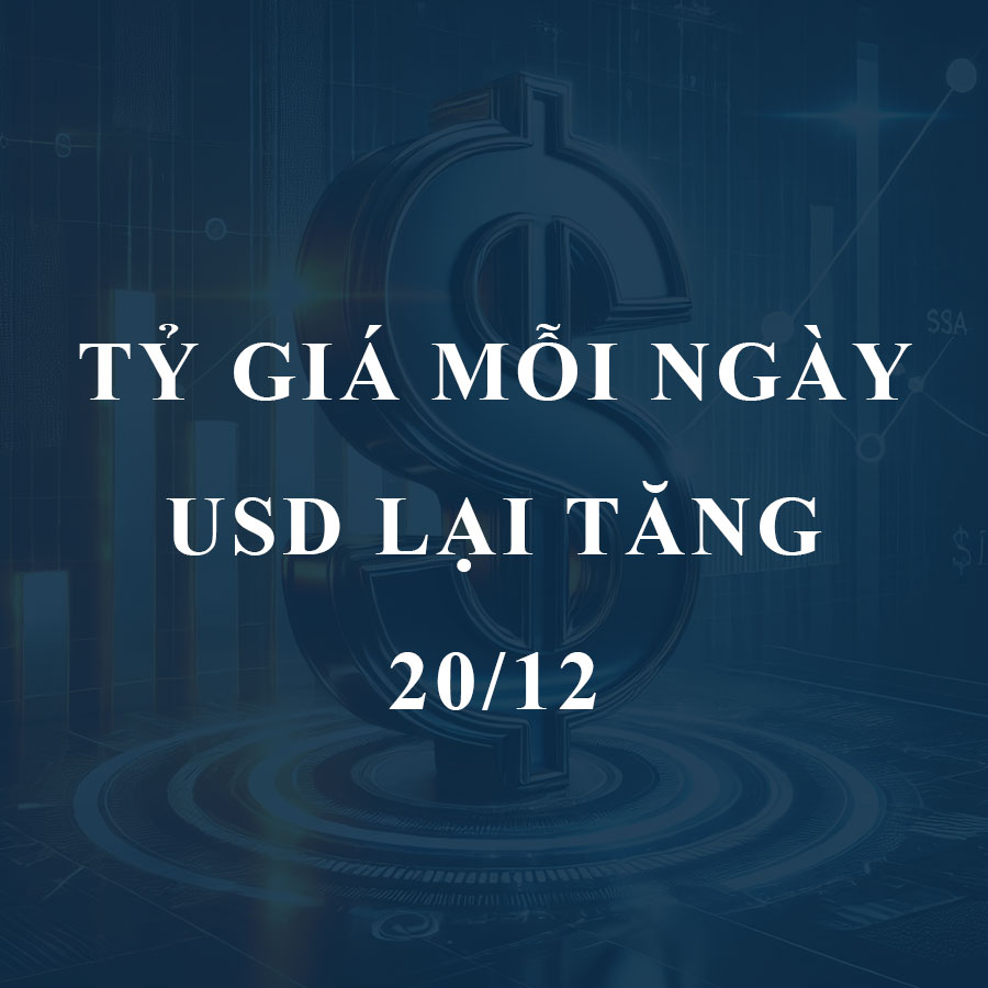 Tỷ giá hôm nay (20/12): USD ngân hàng tăng trở lại, “chợ đen” bật tăng mạnh