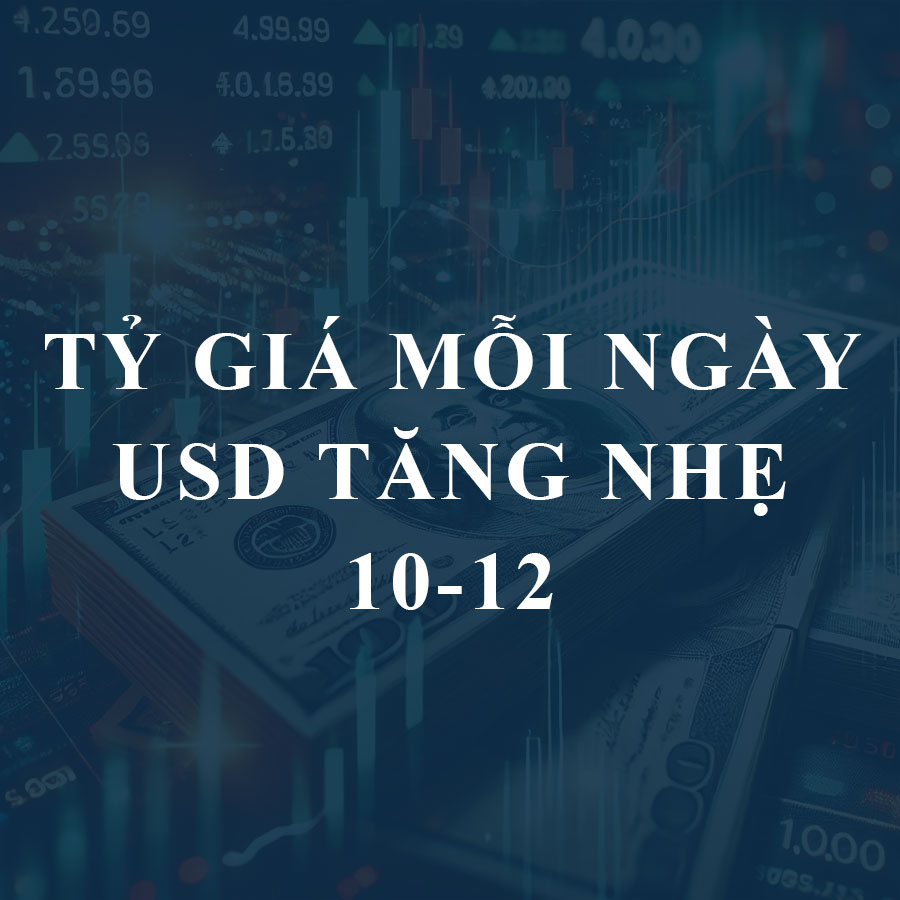 Tỷ giá USD hôm nay 10/12: Đồng bạc xanh tăng nhẹ, “chợ đen” giảm giá sâu