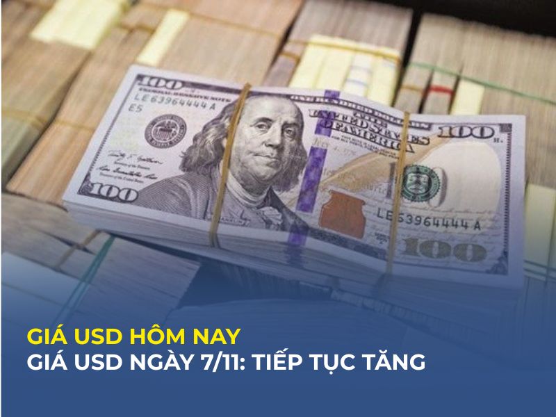 Tỷ giá USD hôm nay: Cập nhật tại các ngân hàng và thị trường