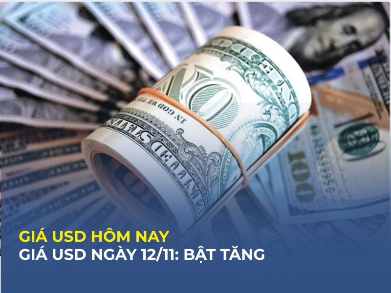 Tỷ giá USD tại Việt Nam và thị trường tự do cùng “nhảy” lên